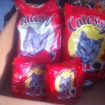 Donatie02