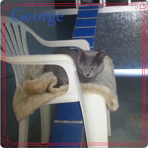 George