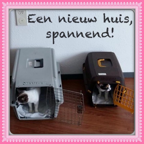 Loes&triana
